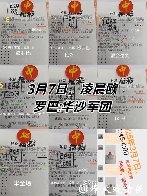 世界杯买球成功案例深度解析 世界杯买球成功案例深度解析